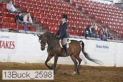 13buck_2598 proof