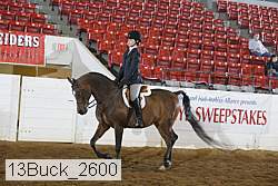 13buck_2600 proof