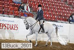 13buck_2601 proof