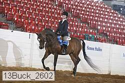13buck_2602 proof