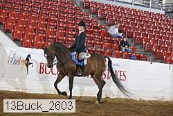 13buck_2603 proof