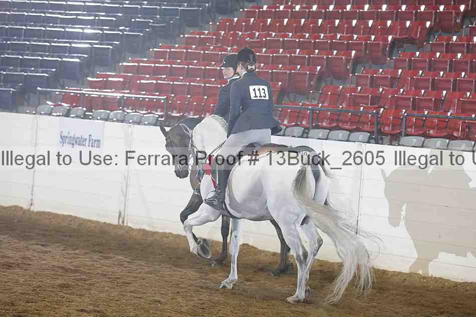Proof 13buck_2605