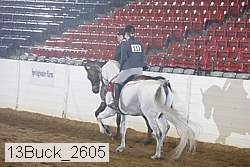 13buck_2605 proof
