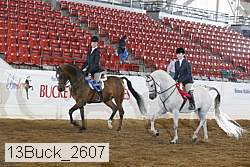 13buck_2607 proof