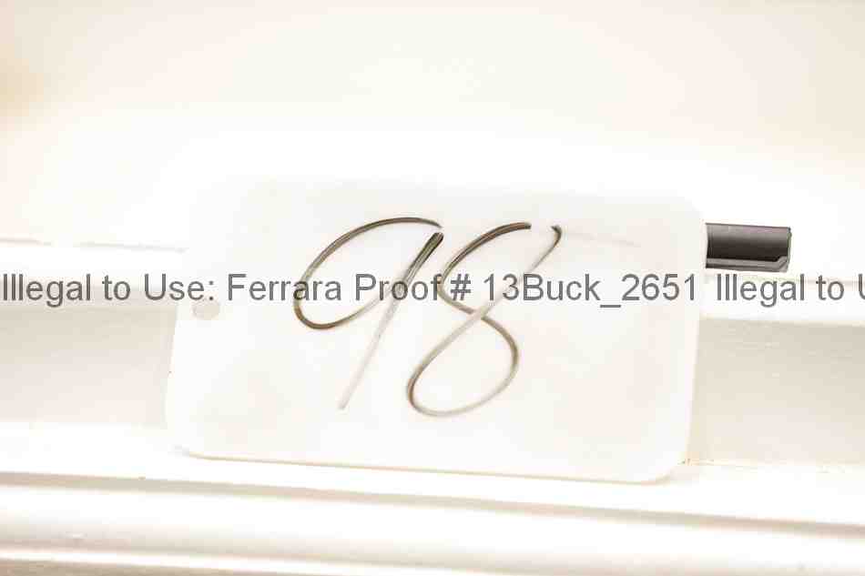 Proof 13buck_2651