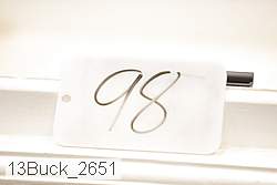 13buck_2651 proof