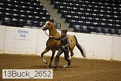 13buck_2652 proof