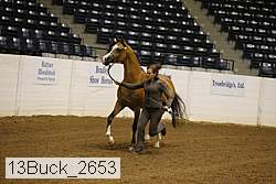 13buck_2653 proof