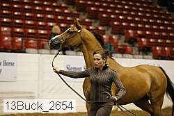 13buck_2654 proof