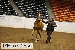 13buck_2655 proof