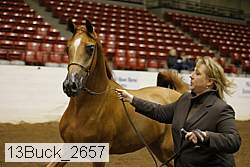 13buck_2657 proof