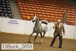 13buck_2658 proof