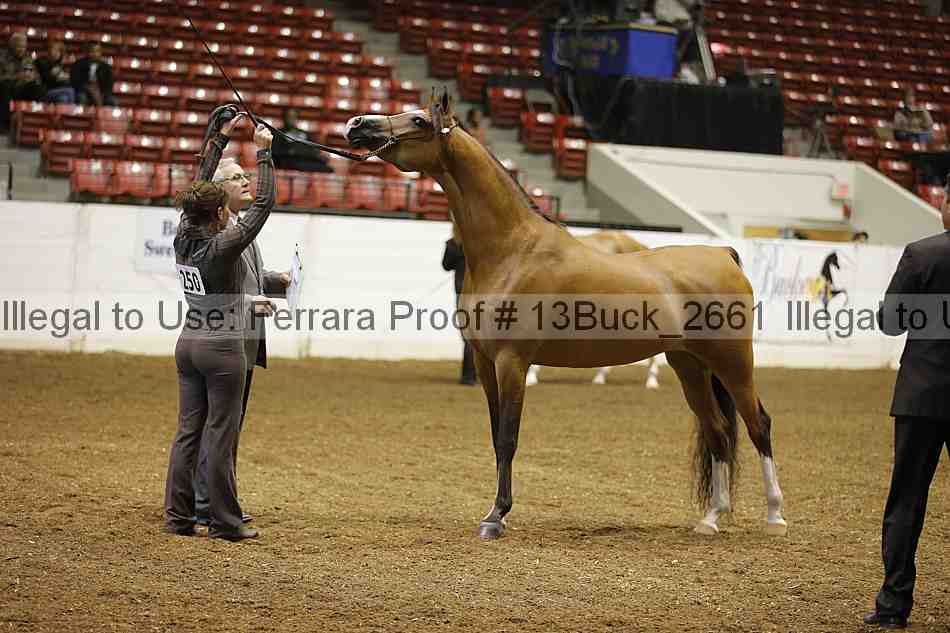 Proof 13buck_2661