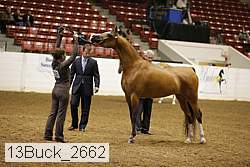 13buck_2662 proof