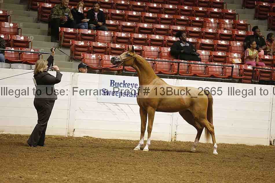 Proof 13buck_2665