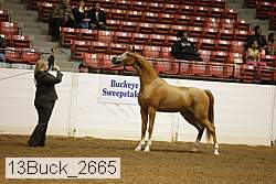 13buck_2665 proof
