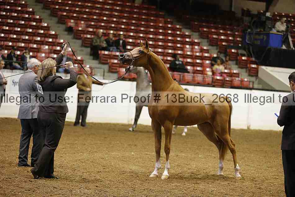 Proof 13buck_2668