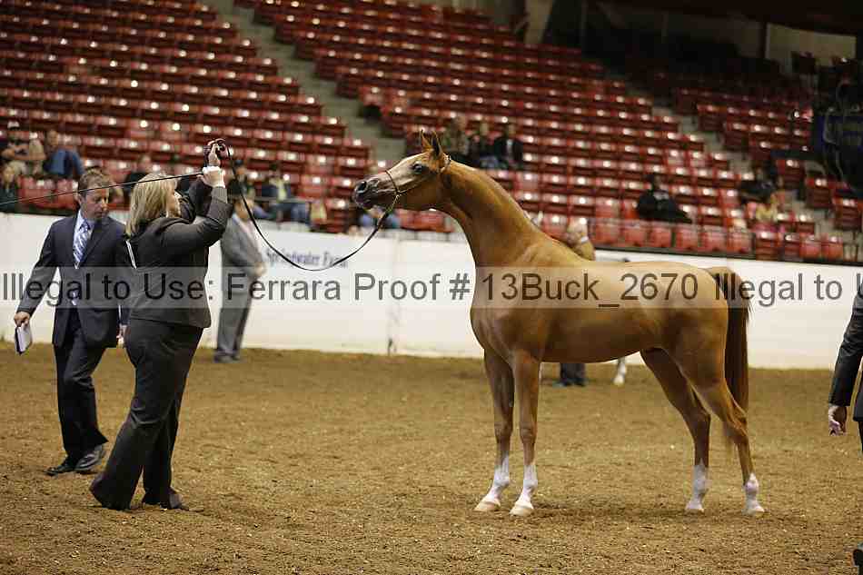 Proof 13buck_2670