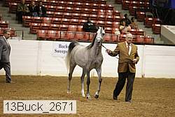 13buck_2671 proof