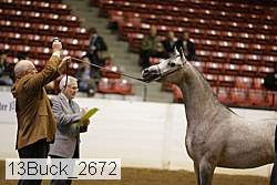 13buck_2672 proof