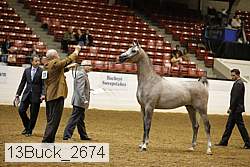 13buck_2674 proof