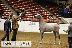 13buck_2676 proof