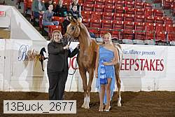 13buck_2677 proof