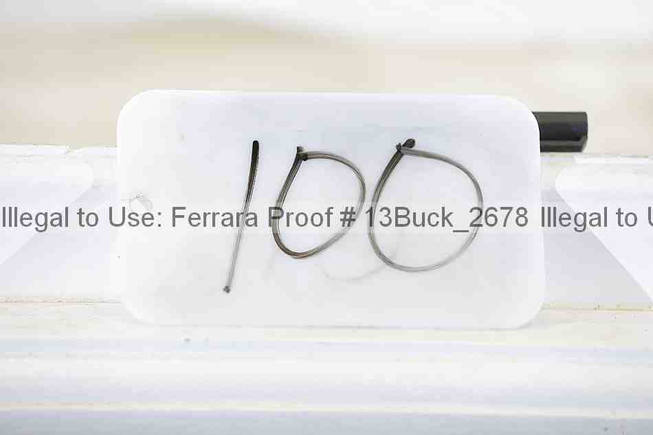 Proof 13buck_2678