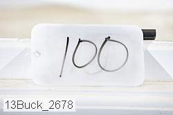 13buck_2678 proof