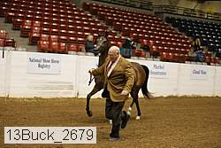 13buck_2679 proof