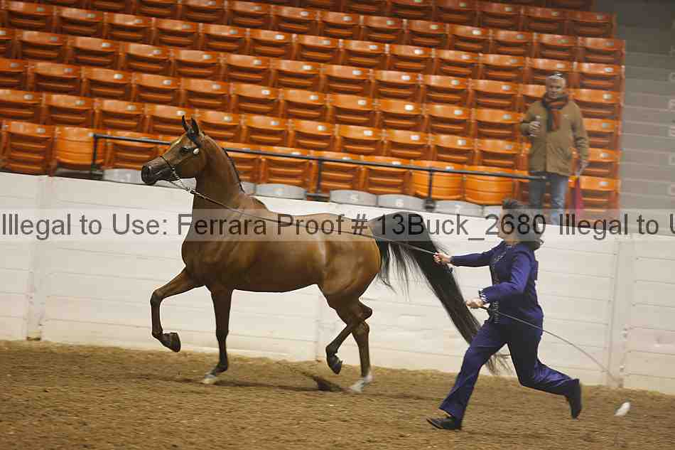 Proof 13buck_2680
