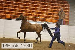 13buck_2680 proof