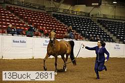 13buck_2681 proof