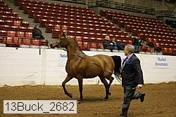 13buck_2682 proof