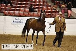 13buck_2683 proof