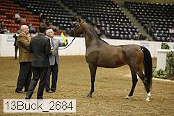 13buck_2684 proof