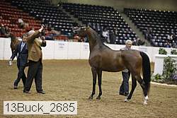 13buck_2685 proof