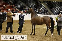 13buck_2687 proof