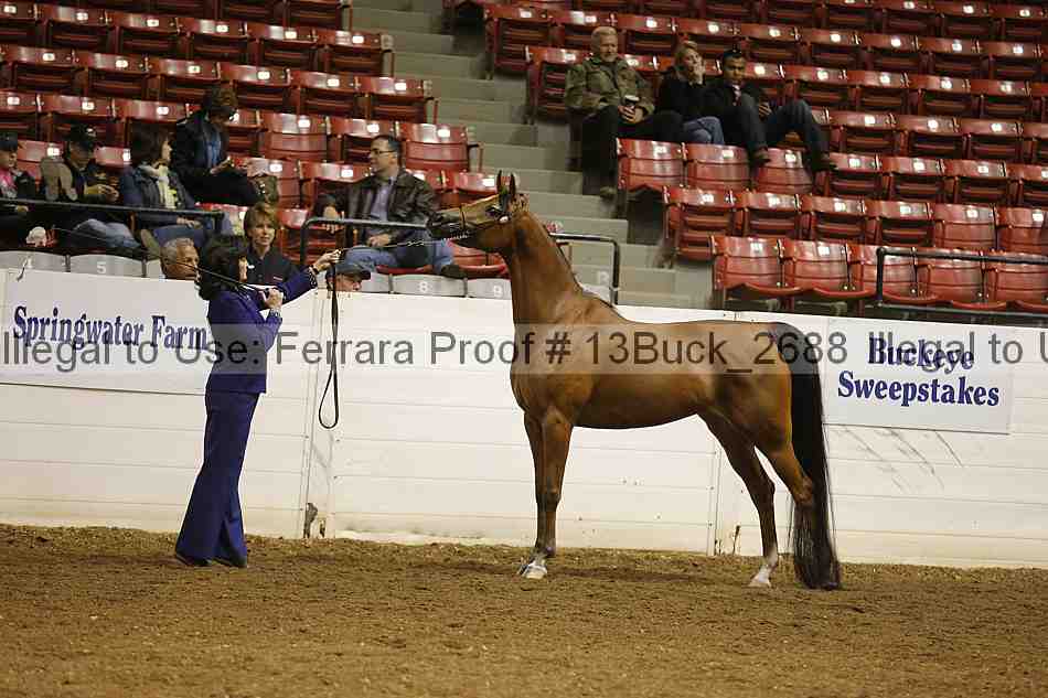 Proof 13buck_2688