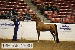 13buck_2689 proof