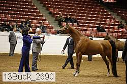13buck_2690 proof