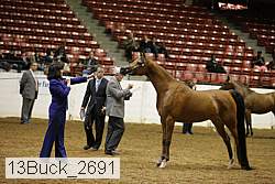 13buck_2691 proof
