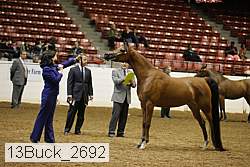 13buck_2692 proof