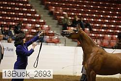13buck_2693 proof