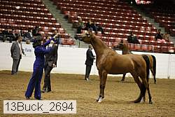 13buck_2694 proof