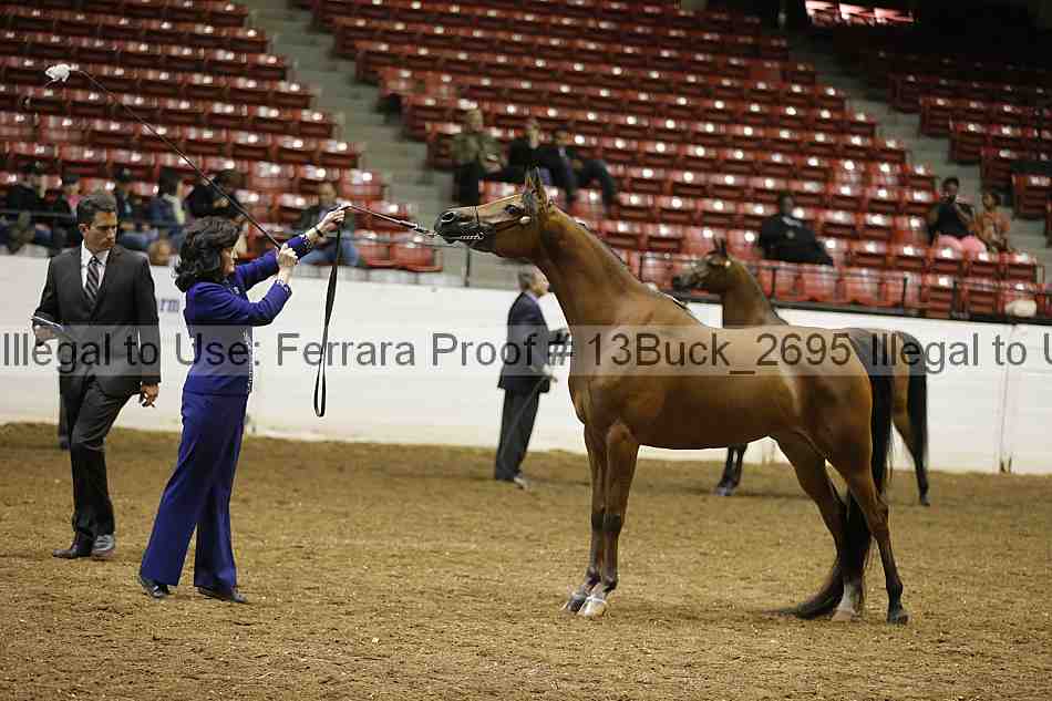 Proof 13buck_2695