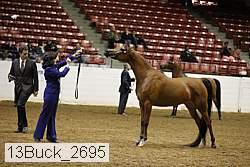 13buck_2695 proof