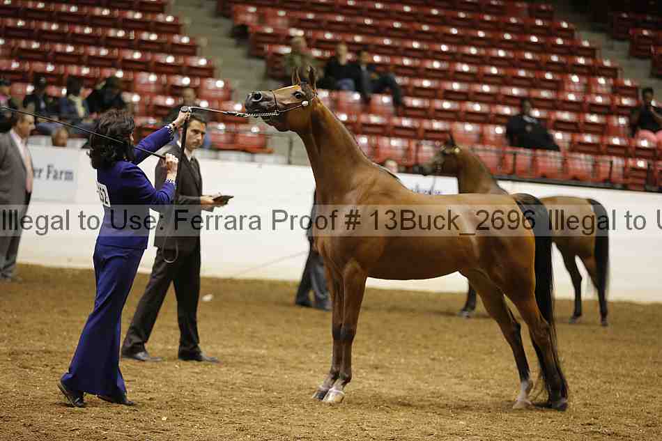 Proof 13buck_2696