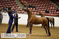 13buck_2696 proof