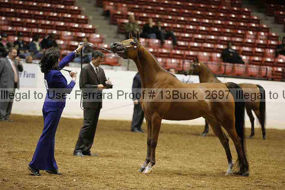 Proof 13buck_2697